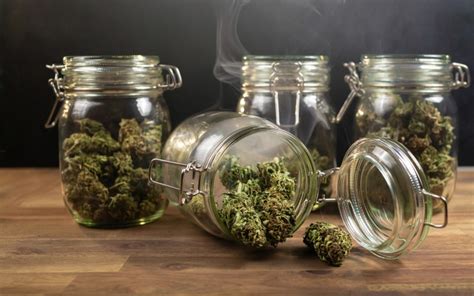 find your perfect marijuana strain.